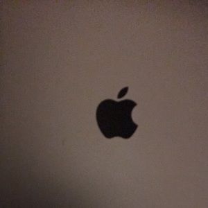 Apple iPad